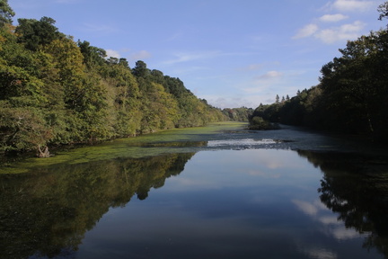 Etang St-Nicolas