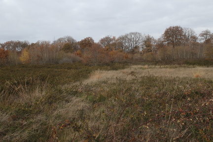 Plateau de la Mayenne