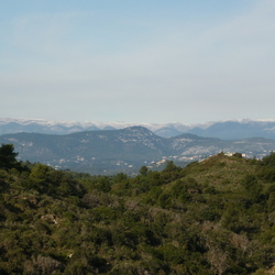 Cap Sicié