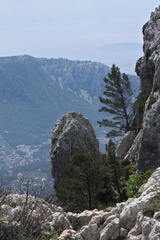 Mont Caume (Le Revest-les-Eaux 83)