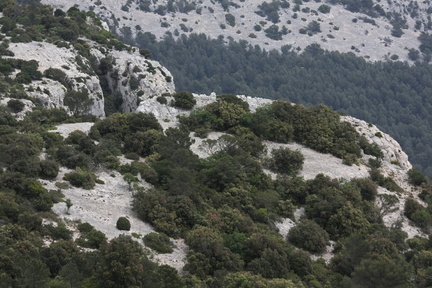 Mont Caume (Le Revest-les-Eaux 83)