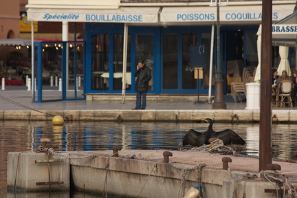 Port (Toulon 83)