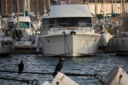 Port (Toulon 83)