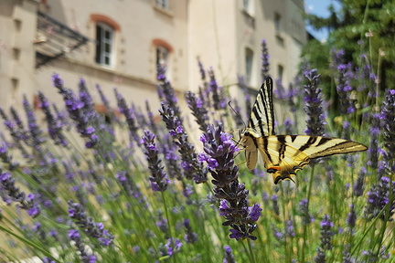 Ville (Aix-en-Provence 13)