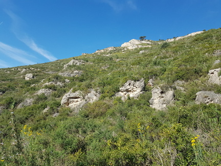 Hautes Pavègnes (Toulon 83)