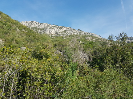 Hautes Pavègnes (Toulon 83)