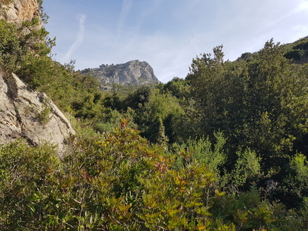 Hautes Pavègnes (Toulon 83)