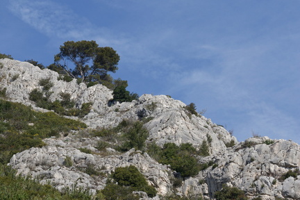 Hautes Pavègnes (Toulon 83)
