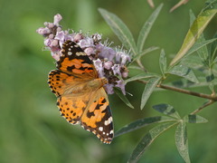 Parc François Accusano (La Garde 83)